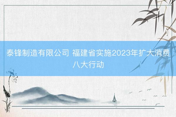 泰锋制造有限公司 福建省实施2023年扩大消费八大行动