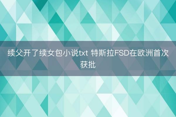 续父开了续女包小说txt 特斯拉FSD在欧洲首次获批
