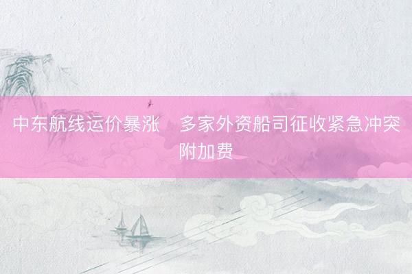 中东航线运价暴涨 多家外资船司征收紧急冲突附加费