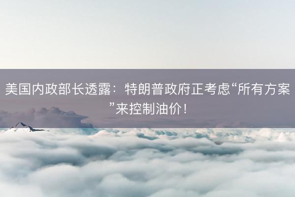 美国内政部长透露：特朗普政府正考虑“所有方案”来控制油价！