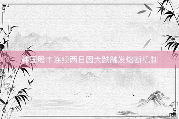 韩国股市连续两日因大跌触发熔断机制