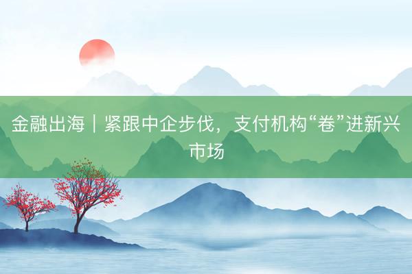 金融出海｜紧跟中企步伐，支付机构“卷”进新兴市场