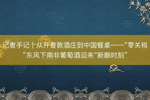 记者手记｜从开普敦酒庄到中国餐桌——“零关税”东风下南非葡萄酒迎来“新酿时刻”