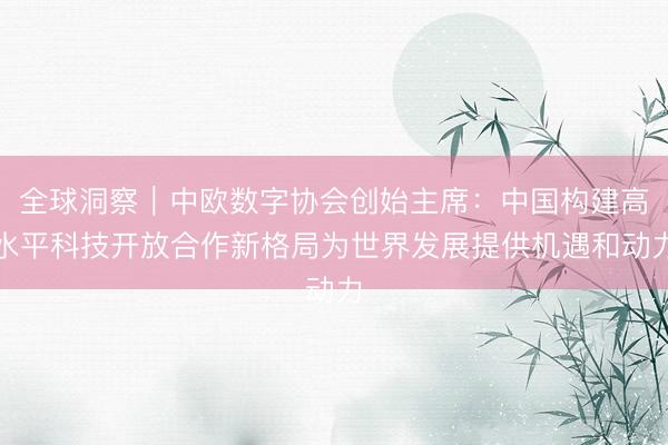 全球洞察｜中欧数字协会创始主席：中国构建高水平科技开放合作新格局为世界发展提供机遇和动力