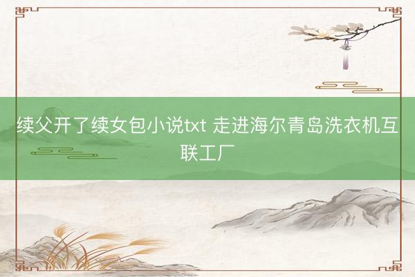 续父开了续女包小说txt 走进海尔青岛洗衣机互联工厂