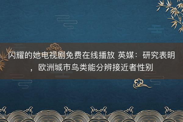 闪耀的她电视剧免费在线播放 英媒：研究表明，欧洲城市鸟类能分辨接近者性别