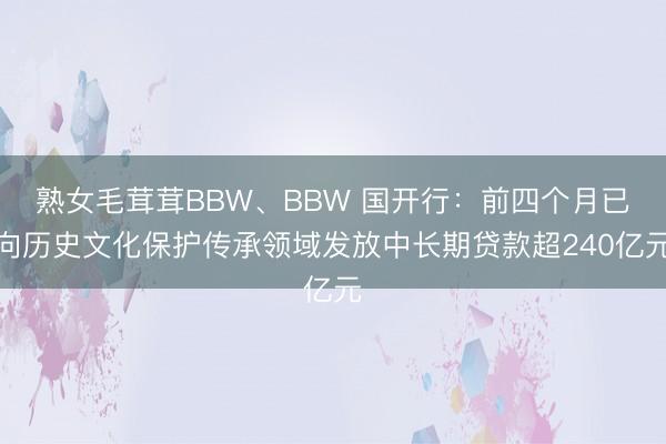 熟女毛茸茸BBW、BBW 国开行：前四个月已向历史文化保护传承领域发放中长期贷款超240亿元