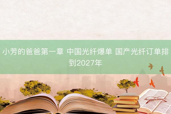 小芳的爸爸第一章 中国光纤爆单 国产光纤订单排到2027年