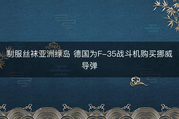 制服丝袜亚洲绿岛 德国为F-35战斗机购买挪威导弹