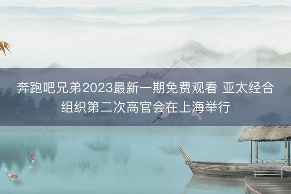 奔跑吧兄弟2023最新一期免费观看 亚太经合组织第二次高官会在上海举行