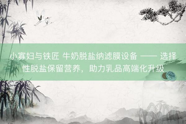 小寡妇与铁匠 牛奶脱盐纳滤膜设备 —— 选择性脱盐保留营养，助力乳品高端化升级
