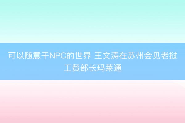 可以随意干NPC的世界 王文涛在苏州会见老挝工贸部长玛莱通