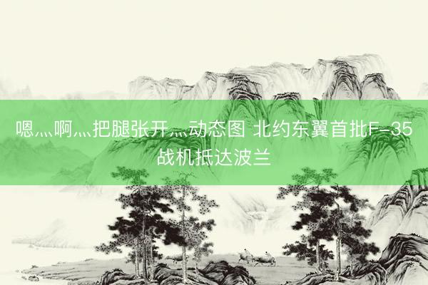 嗯灬啊灬把腿张开灬动态图 北约东翼首批F-35战机抵达波兰