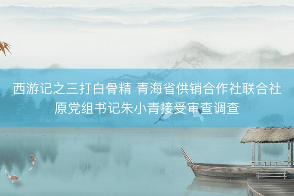 西游记之三打白骨精 青海省供销合作社联合社原党组书记朱小青接受审查调查