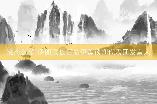 液态欲望 伊朗议长任命伊美谈判代表团发言人
