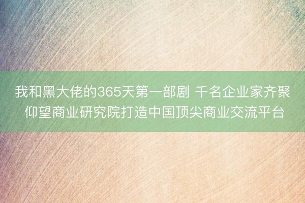 我和黑大佬的365天第一部剧 千名企业家齐聚 仰望商业研究院打造中国顶尖商业交流平台