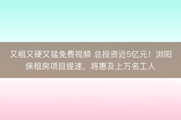 又粗又硬又猛免费视频 总投资近5亿元！浏阳保租房项目提速，将惠及上万名工人
