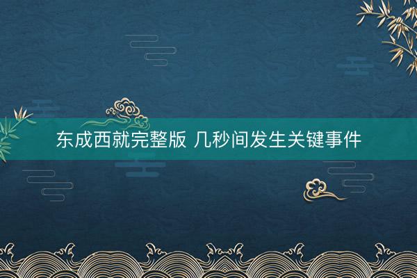 东成西就完整版 几秒间发生关键事件