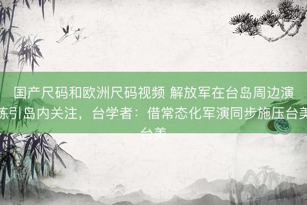 国产尺码和欧洲尺码视频 解放军在台岛周边演练引岛内关注，台学者：借常态化军演同步施压台美