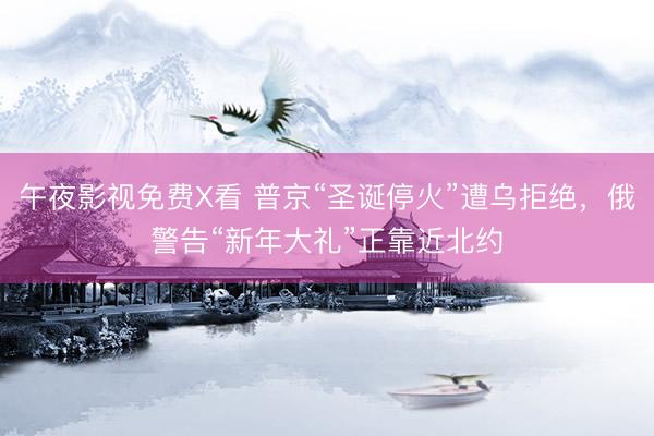 午夜影视免费X看 普京“圣诞停火”遭乌拒绝，俄警告“新年大礼”正靠近北约