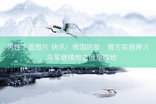 男性下面图片 快讯！俄国防部：俄方实施停火，乌军继续炮击俄军阵地
