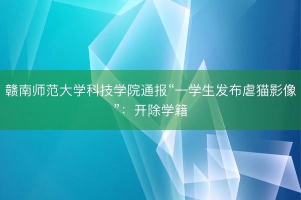 赣南师范大学科技学院通报“一学生发布虐猫影像”：开除学籍