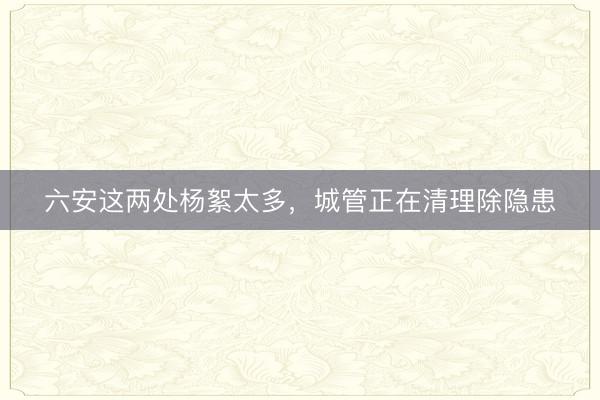六安这两处杨絮太多，城管正在清理除隐患
