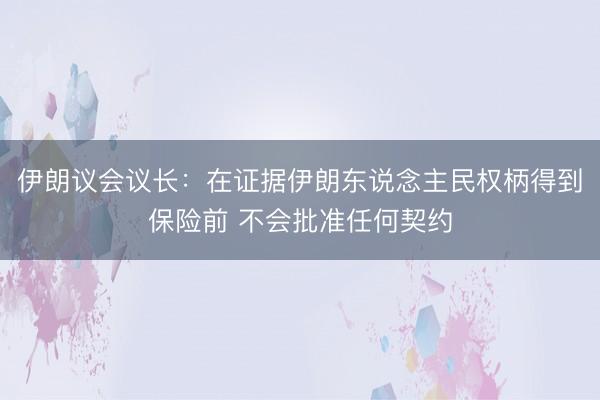伊朗议会议长：在证据伊朗东说念主民权柄得到保险前 不会批准任何契约