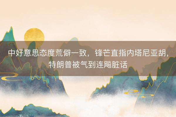 中好意思态度荒僻一致，锋芒直指内塔尼亚胡，特朗普被气到连飚脏话
