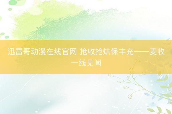 迅雷哥动漫在线官网 抢收抢烘保丰充——麦收一线见闻