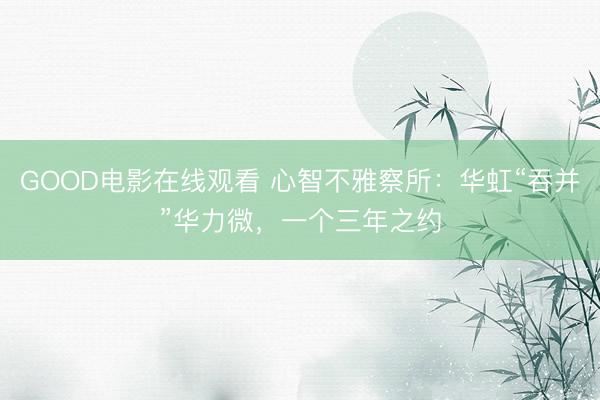GOOD电影在线观看 心智不雅察所：华虹“吞并”华力微，一个三年之约