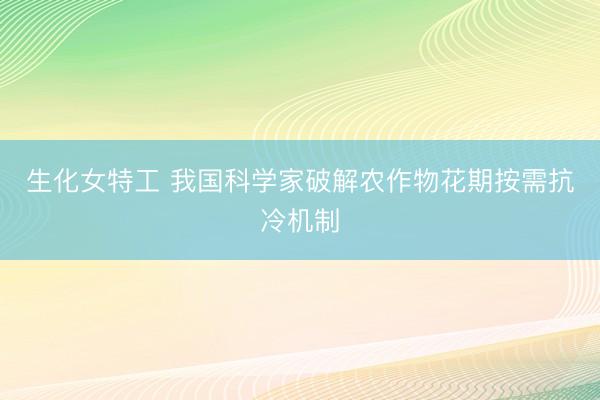 生化女特工 我国科学家破解农作物花期按需抗冷机制