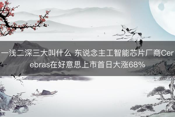 一浅二深三大叫什么 东说念主工智能芯片厂商Cerebras在好意思上市首日大涨68%