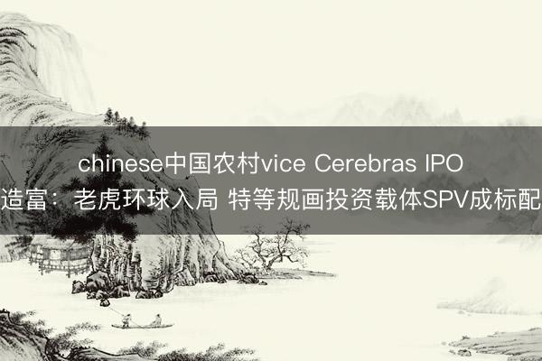 chinese中国农村vice Cerebras IPO造富：老虎环球入局 特等规画投资载体SPV成标配