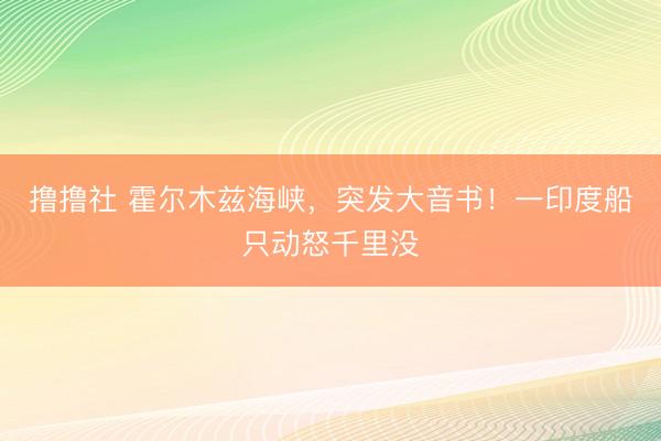 撸撸社 霍尔木兹海峡，突发大音书！一印度船只动怒千里没