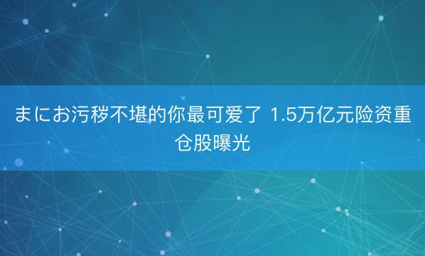 まにお污秽不堪的你最可爱了 1.5万亿元险资重仓股曝光