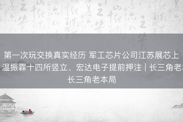 第一次玩交换真实经历 军工芯片公司江苏展芯上会：温振霖十四所竖立、宏达电子提前押注 | 长三角老本局