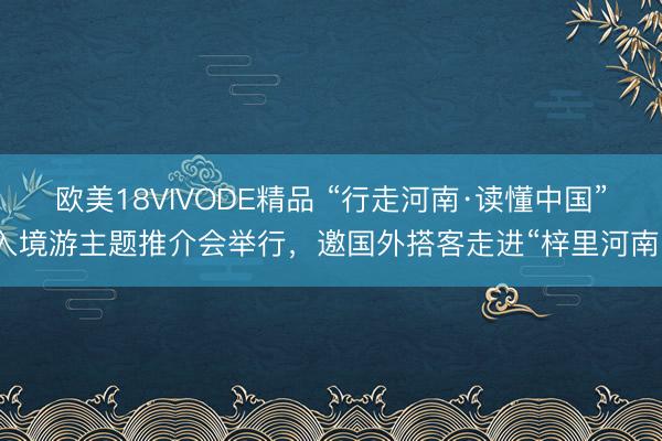 欧美18VIVODE精品 “行走河南·读懂中国”入境游主题推介会举行，邀国外搭客走进“梓里河南”