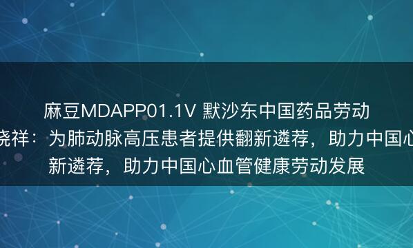 麻豆MDAPP01.1V 默沙东中国药品劳动部负责东说念主汪晓祥:为肺动脉高压患者提供翻新遴荐,助力中国心血管健康劳动发展