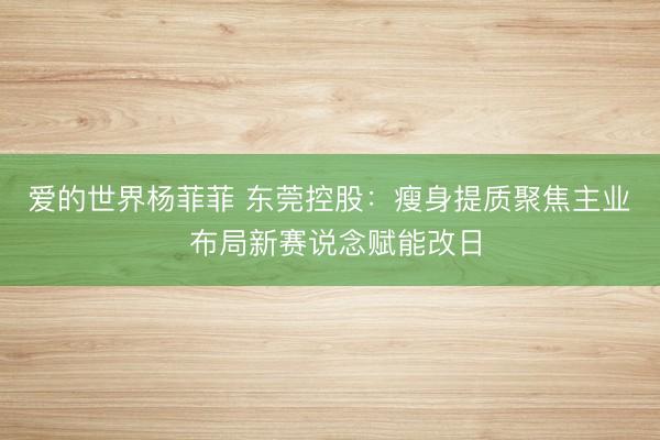爱的世界杨菲菲 东莞控股：瘦身提质聚焦主业‌ 布局新赛说念赋能改日