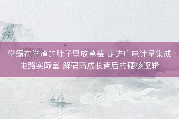学霸在学渣的肚子里放草莓 走进广电计量集成电路实际室 解码高成长背后的硬核逻辑
