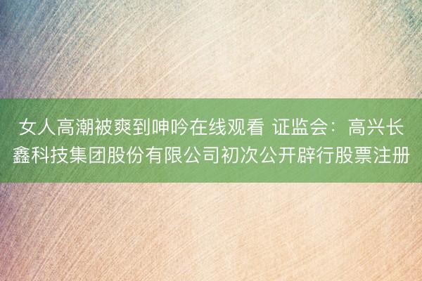 女人高潮被爽到呻吟在线观看 证监会：高兴长鑫科技集团股份有限公司初次公开辟行股票注册