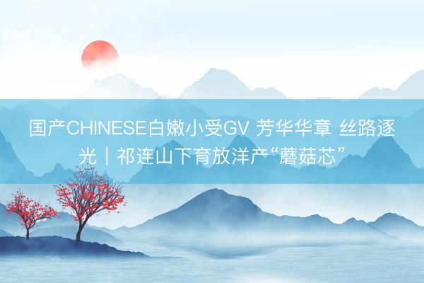国产CHINESE白嫩小受GV 芳华华章 丝路逐光｜祁连山下育放洋产“蘑菇芯”