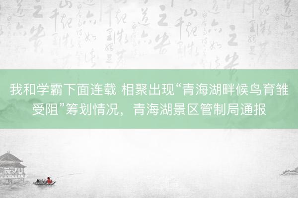 我和学霸下面连载 相聚出现“青海湖畔候鸟育雏受阻”筹划情况，青海湖景区管制局通报