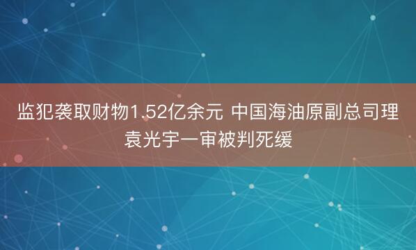 监犯袭取财物1.52亿余元 中国海油原副总司理袁光宇一审被判死缓