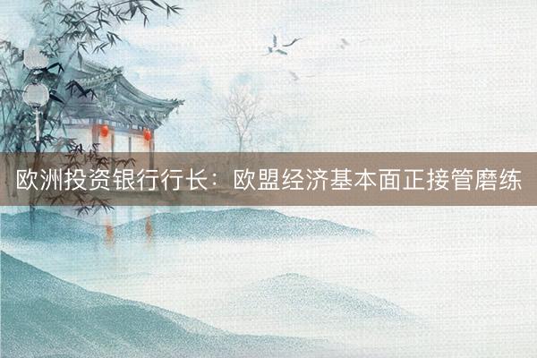 欧洲投资银行行长：欧盟经济基本面正接管磨练