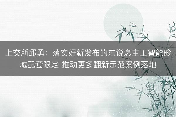 上交所邱勇：落实好新发布的东说念主工智能畛域配套限定 推动更多翻新示范案例落地