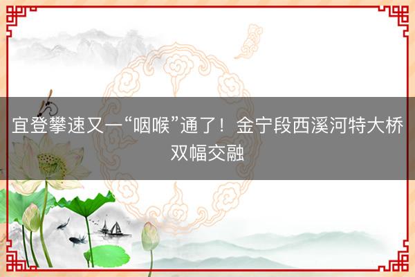 宜登攀速又一“咽喉”通了！金宁段西溪河特大桥双幅交融