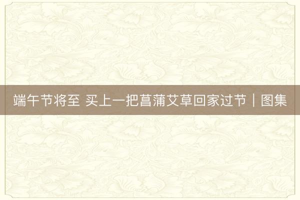 端午节将至 买上一把菖蒲艾草回家过节｜图集